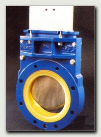 DUCTILE IRON BODY Supplier